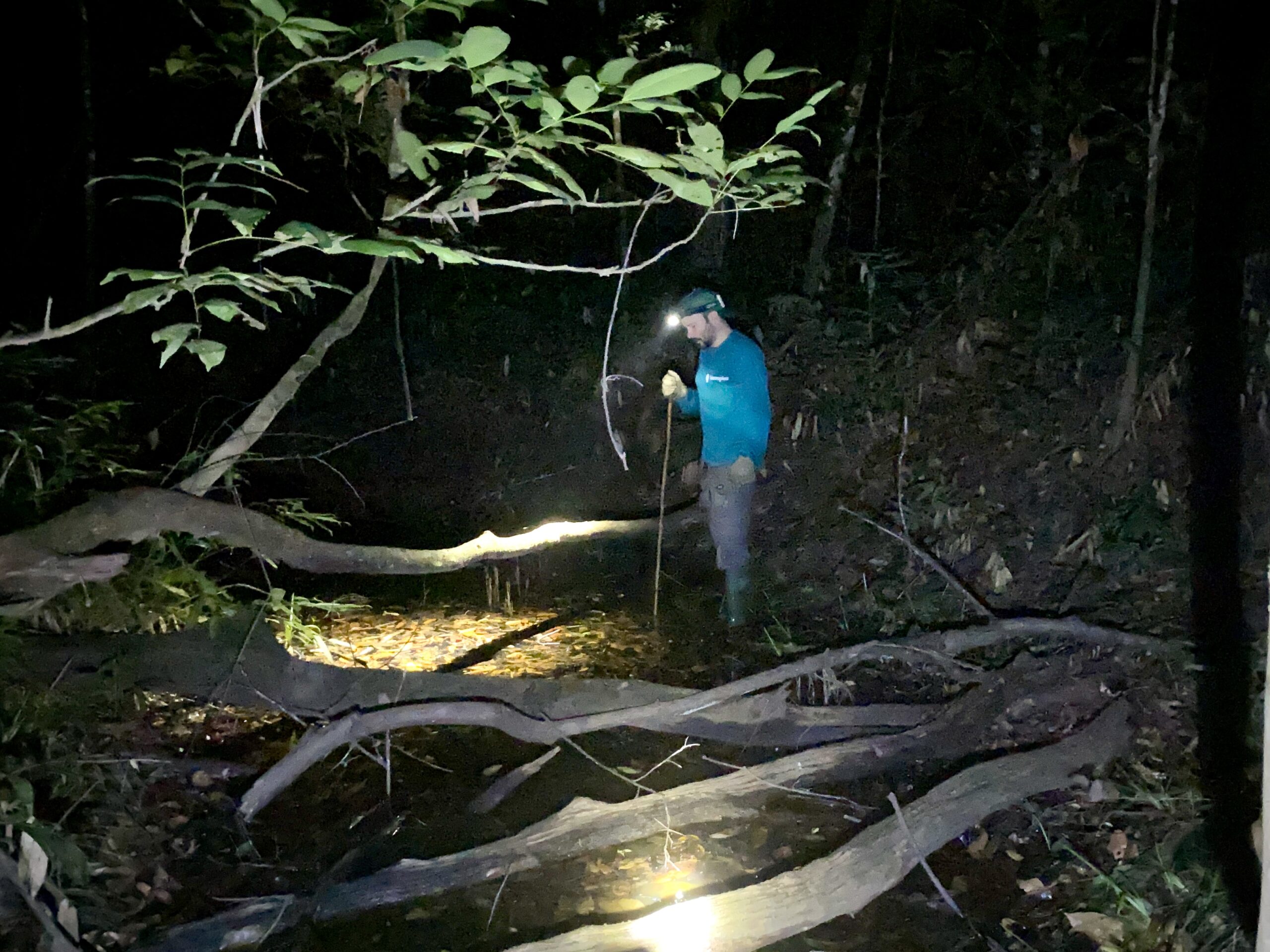 Busca ativa noturna (3)